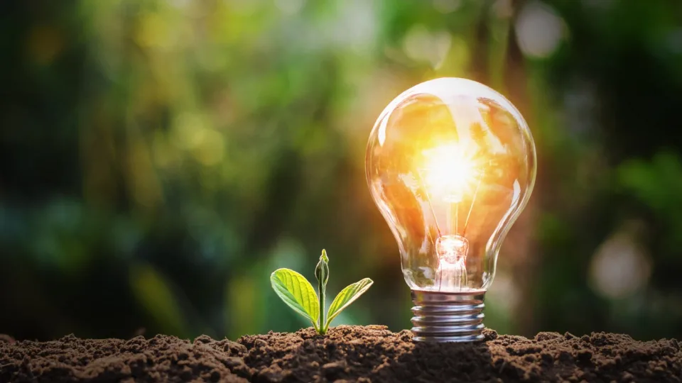 Elektros kainos Lietuvoje išlieka stabilios: didmeninė elektros energijos kaina Baltijos šalyse laikėsi panašiame lygyje