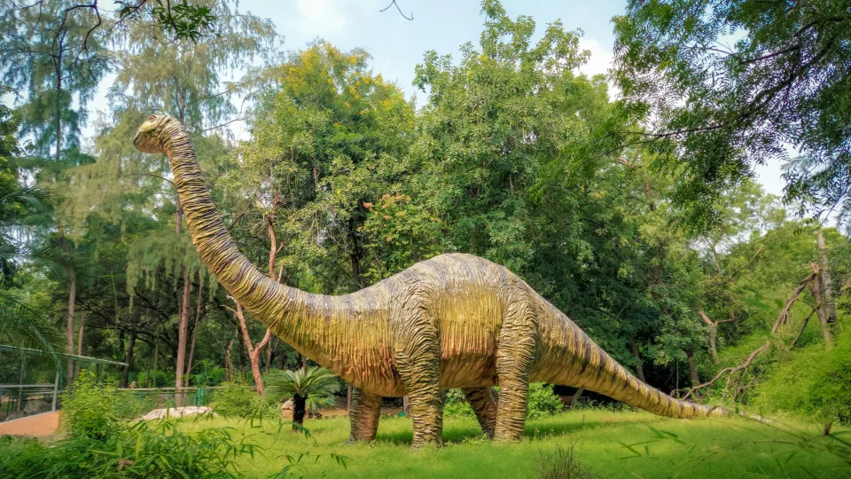 20 metų darbo rezultatai: Kinijoje atrastas įspūdingas 12 metrų ilgio dinozauras Chušanozauras