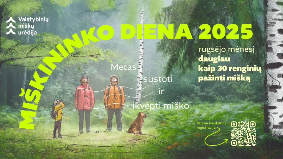 Miškininkai švenčia savo profesinę šventę, daugiau nei 30 nemokamų renginių gamtos mylėtojams