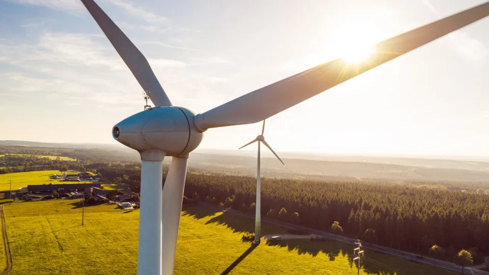 „Švyturio“ alus verda iš vėjo: visos gamyklos pereina prie žaliosios energijos, pokyčiai jaučiausi ir vartotojams