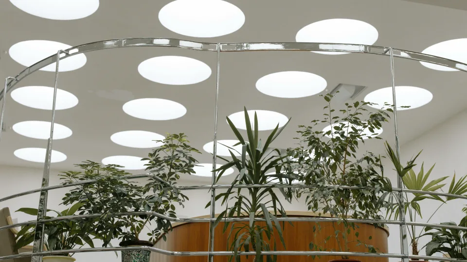 Nedidelė investicija, reikšmingai keičianti darbuotojų savijautą: atskleidė, kokia augalų nauda biuruose