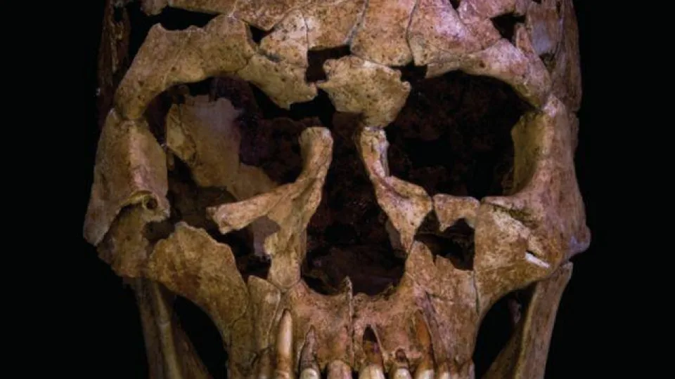 Stulbinantis archeologų atradimas Vietname: užfiksuota žmogžudystė, įvykdyta prieš 12 tūkst. metų