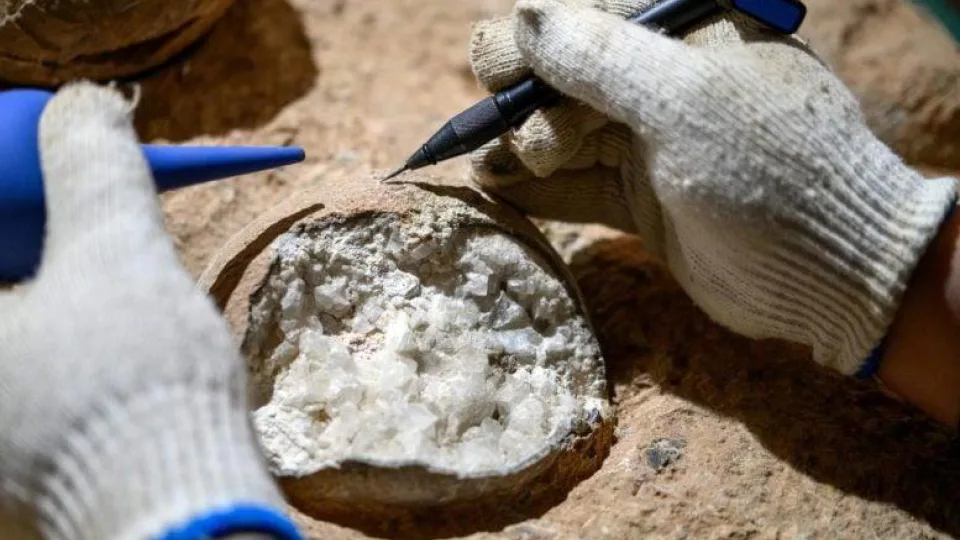 Atrasti neįtikėtinai seni dinozaurų kiaušiniai: atskleidė netikėtus klimato kaitos pėdsakus, tai keičia viską