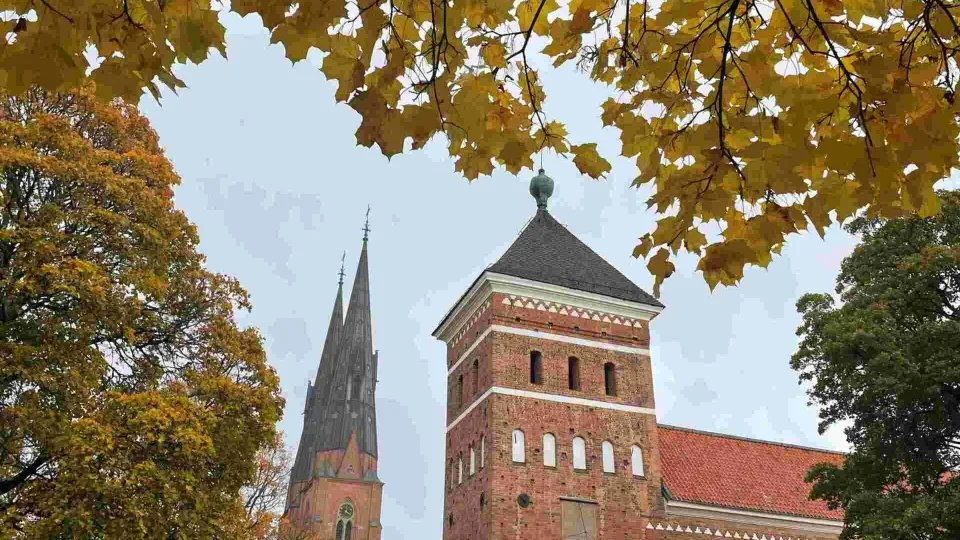 Nuo Jogailaičių iki šiuolaikinių menininkų: atskleistas lietuvių paveldo žemėlapis Švedijoje