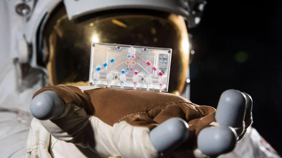 Mokslas jau peržengė visas ribas: NASA siunčia žmogaus organus į Mėnulį, sužinokite, kas čia vyksta