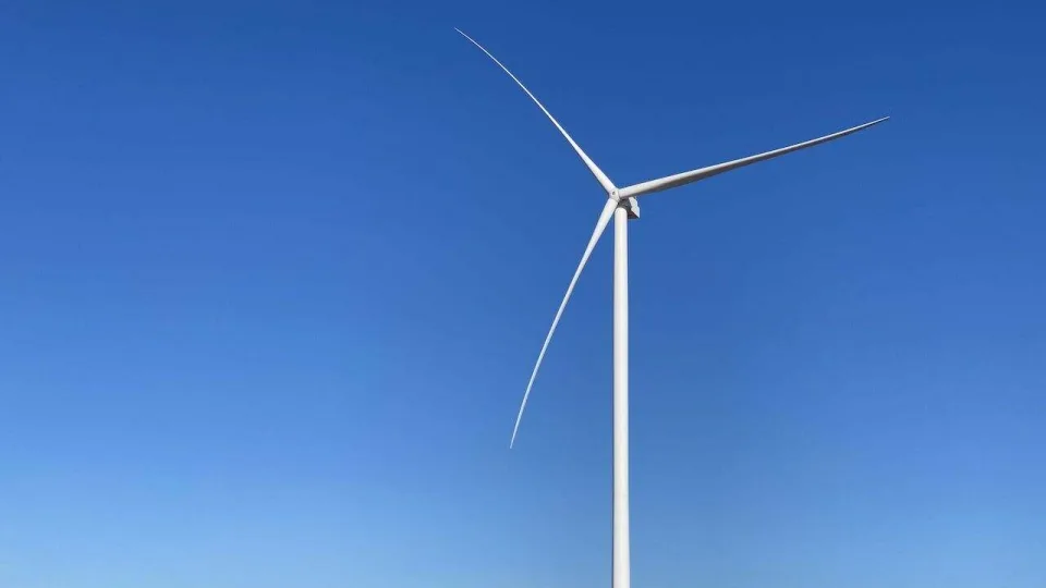 Investuotojų akys ir vėl krypsta į Lietuvą: atskleista, kodėl mūsų regionas staiga tapo aukso gysla