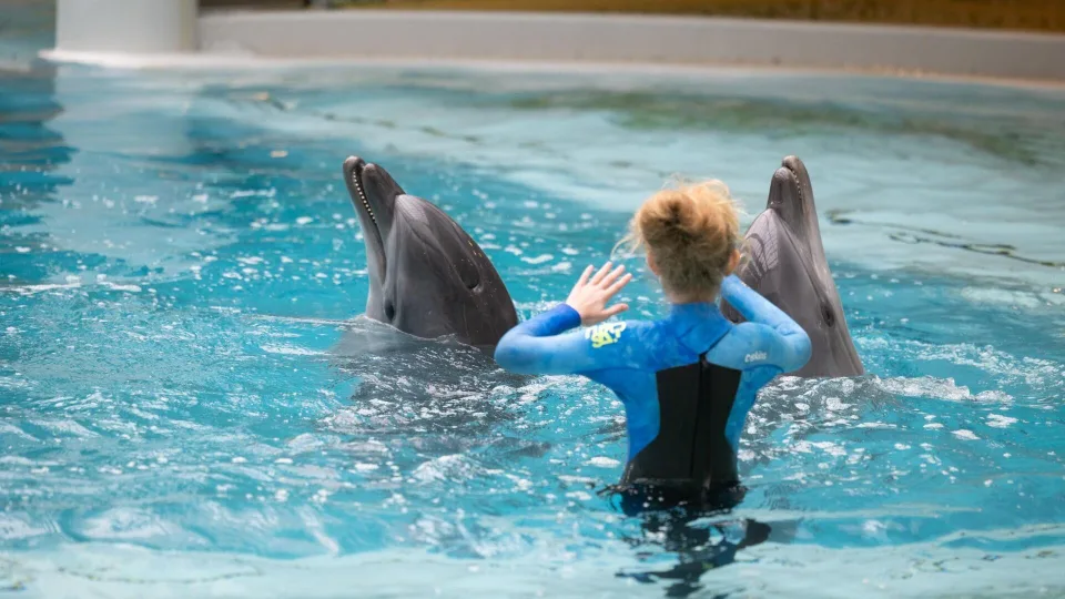 Auga susidomėjimas nemokama delfinų terapijos programa, pasimatymus su delfinais gavo dar 15 šeimų