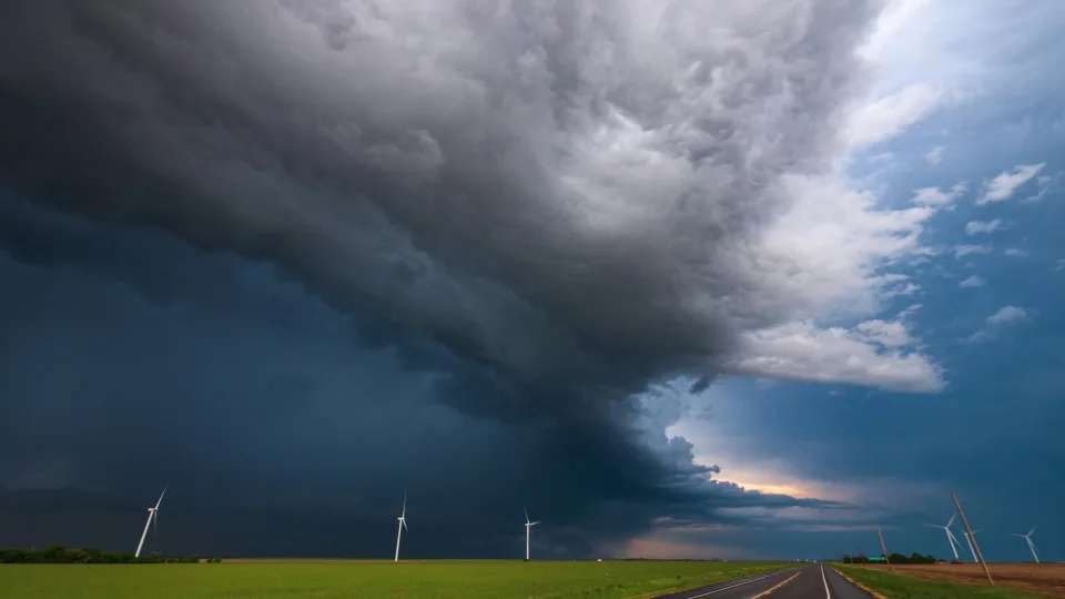 Pragariškas dangaus reiškinys: tūkstančiai paukščių pasiklydo uragano rate, kelio atgal nebėra