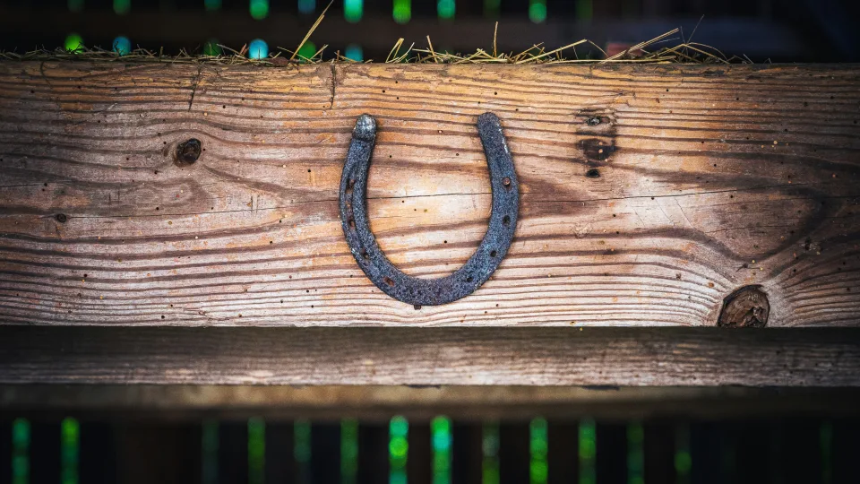 Lapkričio pradžioje jūsų laukia pasakiški turtai: įvardijo tris Zodiako ženklus, kurie taps pinigų sinonimu