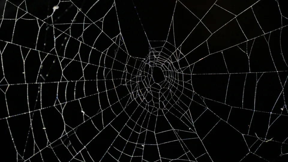 Šiurpuliukai garantuoti: Lietuvoje veikiantys Helovino parkai kviečia patirti neužmirštamus dalykus