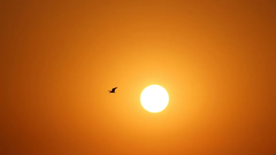 Atskleista didžiausia Saulės paslaptis: mokslininkai pagaliau rado priežastį, kodėl ji tokia įkaitusi