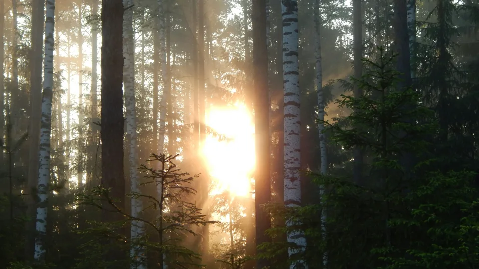 3 Zodiako ženklai, kuriems ši lapkričio savaitė atneš palengvėjimą, aiškumą ir emocinį atsinaujinimą