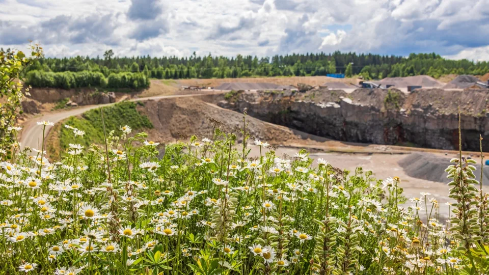 Lietuvos žemės gelmes tyrinėjantis mokslininkas: mūsų turimos naudingosios iškasenos vertos milijardų