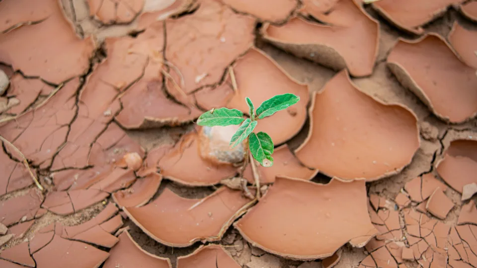 Šiems Zodiako ženklams artėja lemtinga savaitė: šią savaitę viskas gali apsiversti aukštyn kojomis