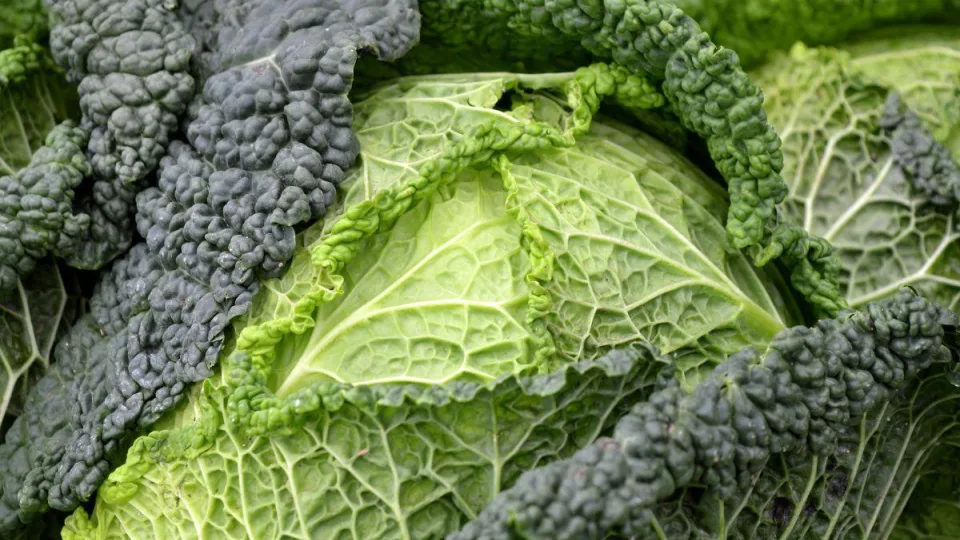 Sveikatos lobynas, kurį vis dar nuvertiname: ši daržovė turėtų būti dažniau ant mūsų stalo