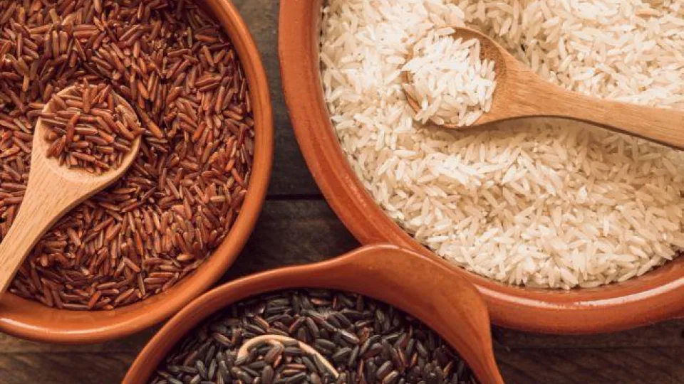 Ryžių rūšys, kurios gali pagerinti jūsų mitybą: specialistai įvardijo naudingiausius pasirinkimus