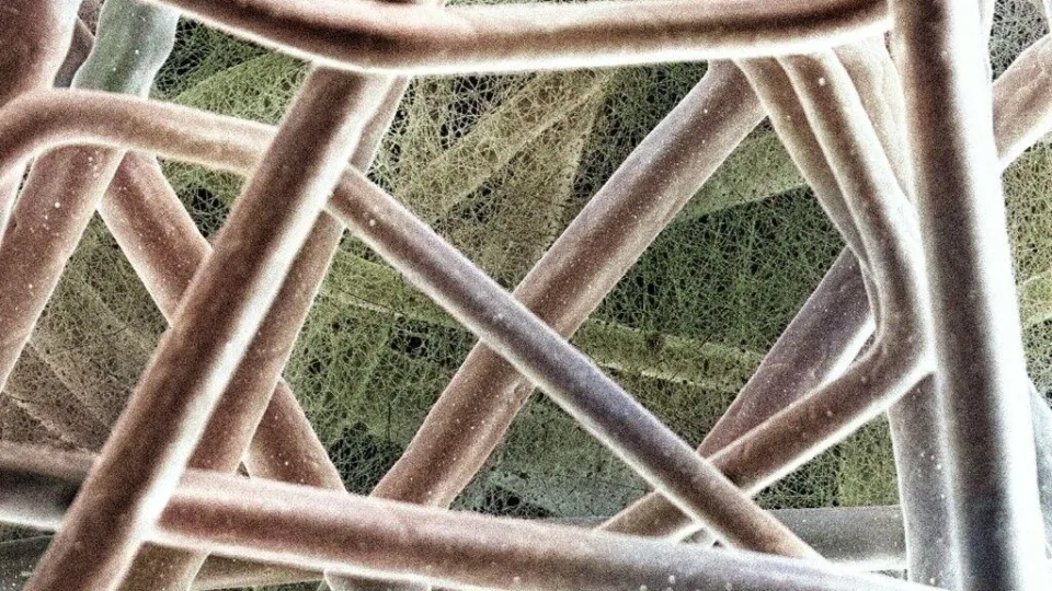 Nematoma grėsmė jūsų namuose: net švarus oras gali būti teršėjas, sukurtas tam skirtas sprendimas