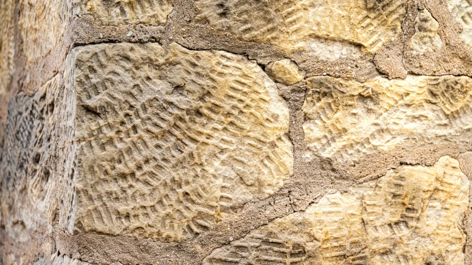 Šokiruojantis dirbtinio intelekto atradimas: gyvybė Žemėje galėjo egzistuoti milijardu metų anksčiau