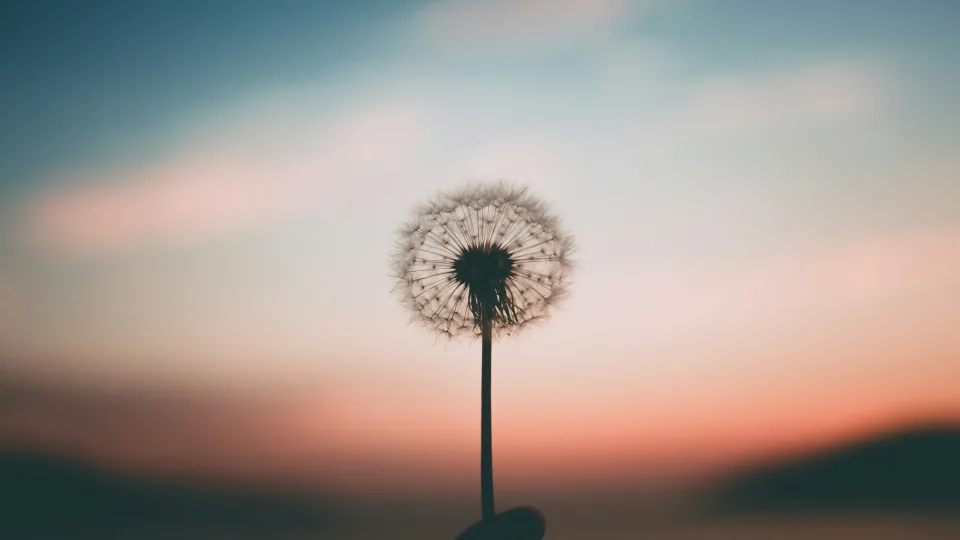 Keturi Zodiako ženklai pagaliau pajus palengvėjimą: kodėl jus lydėjęs chaosas netrukus baigsis