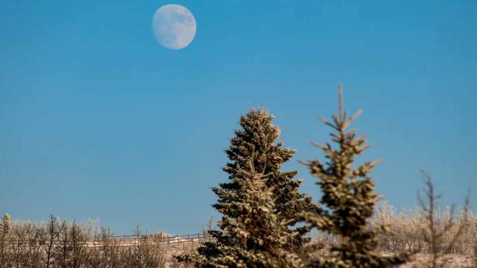 Paslaptis, kurią žino tik Mėnulis: sužinok, ką ši pilnatis atskleis apie tavo santykius, darbus ir širdį