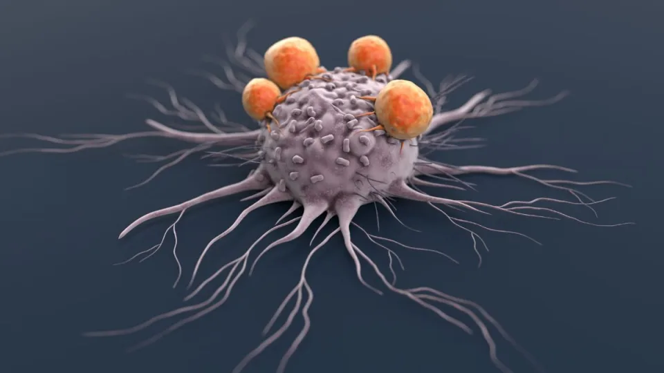 Mokslininkai aptiko mirtį apgaunantį molekulinį jungiklį, keičiantį vėžio ląstelių elgseną