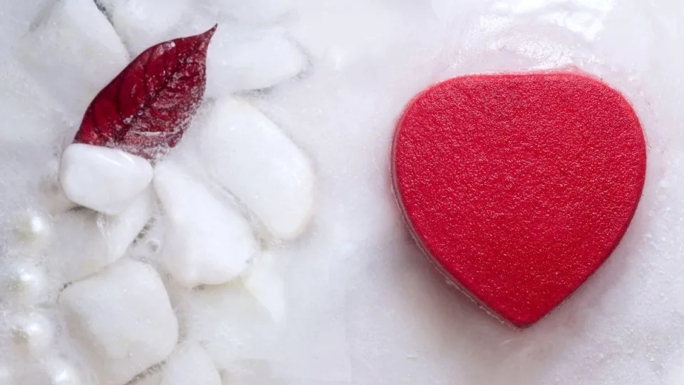 Mokslo pažanga: šis organų užšaldymo metodas - naujas žingsnis medicinos istorijoje