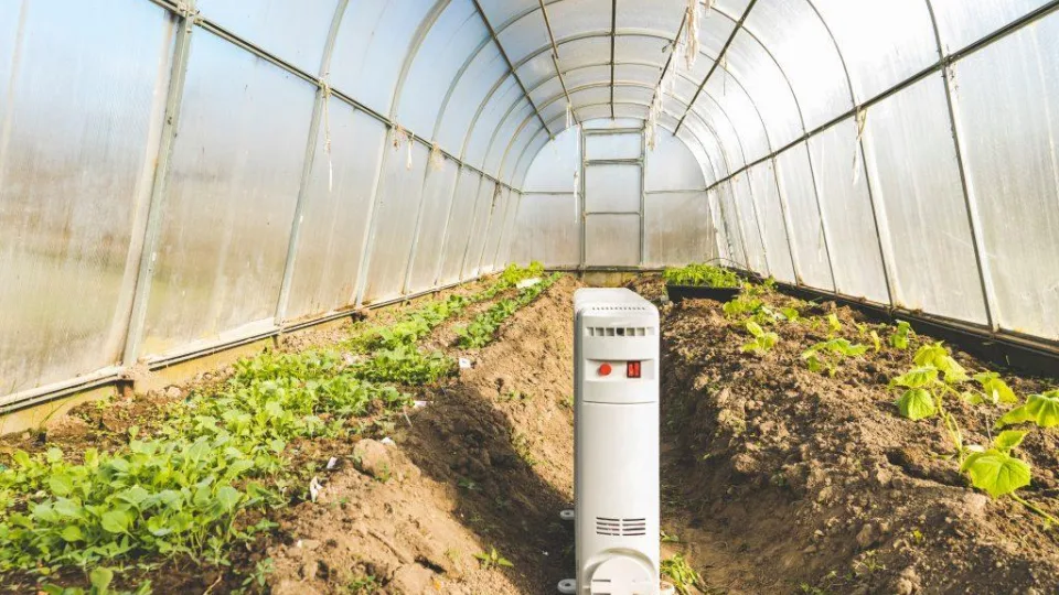 Senas triukas išgelbės šiltnamį nuo šalčio: paprasta kibiro gudrybė šildo šiltnamį net kelias dienas