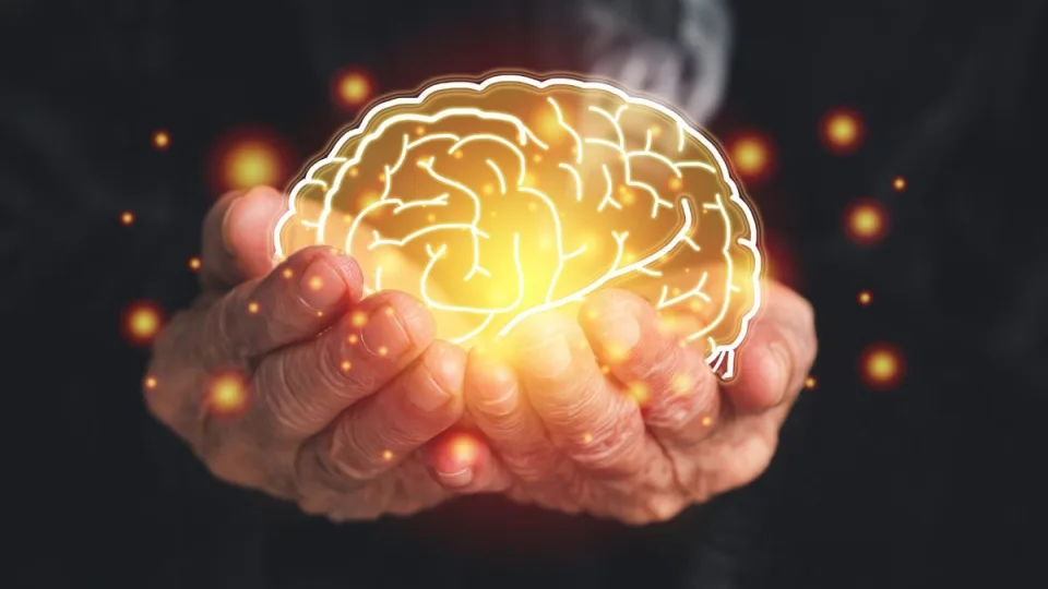 Mokslininkai atrado, kad ši papildų sudedamoji dalis gali sumažinti Alzheimerio požymius