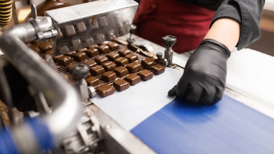 Šokolado pramonė suka radikaliu keliu: planuojama revoliucija šokolado ingredientų sudėtyje