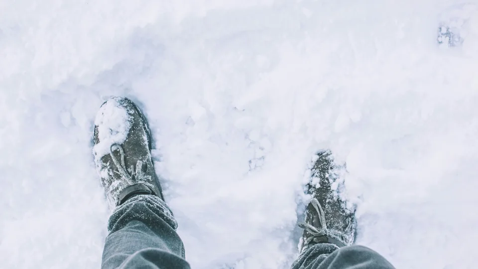 Skubus sprendimas permirkusiems batams: vos 15 minučių metodas, apie kurį mažai kas žino