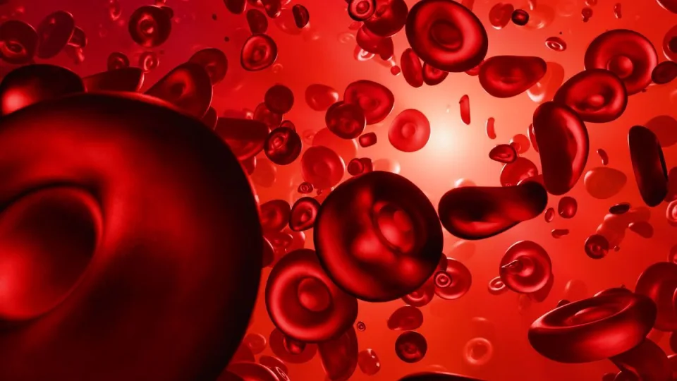 Tai, ką mokslininkams pavyko atlikti, gali tapti tikru pasiekimu stabdant senėjimą