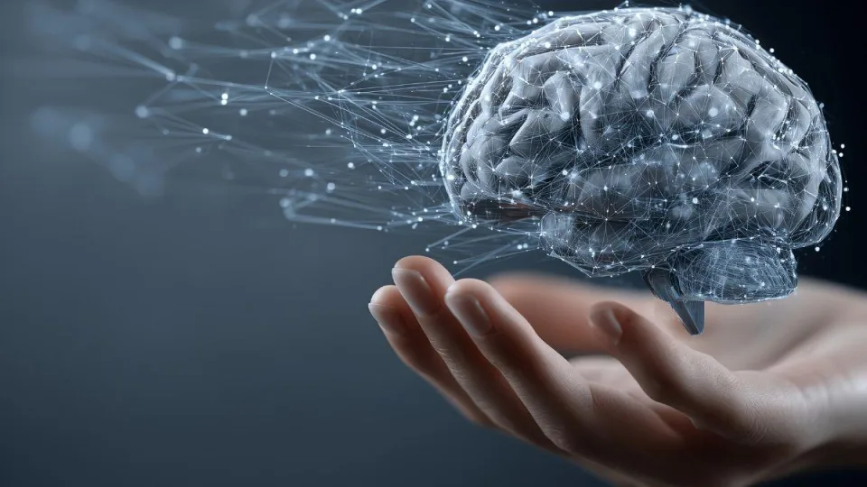 Nutukimas, smegenų senėjimas ir maistinis elementas: naujas tyrimas atskleidė bauginantį ryšį