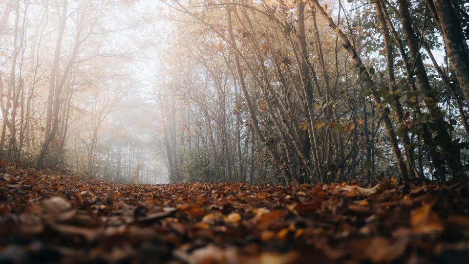 Įspėjimas prieš savaitgalį: orų pokytis ateina netikėtai ir gali sujaukti jūsų planus, sinoptikai ragina pasiruošti