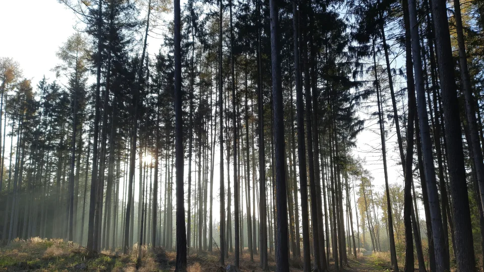 Be sniego, be saulės ir be džiaugsmo: ar tikrai verta šiandien ilgiau būti lauke?