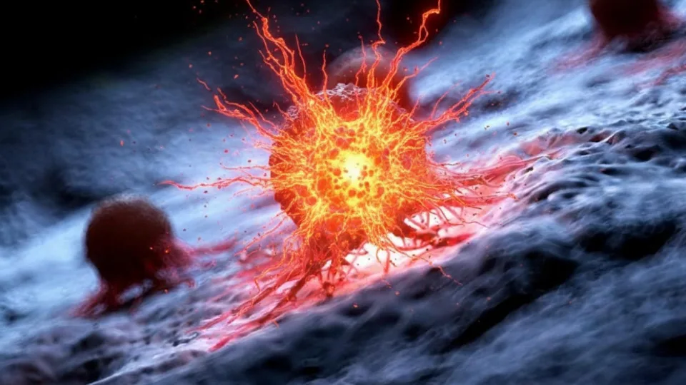 Naujausias tyrimas atskleidė, kaip navikai išgyvena pažeistą DNR ir kur slypi jų silpnumas