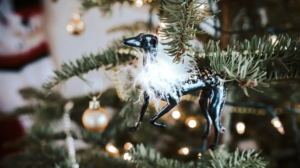 Triukai, kurių nežino dauguma: sužinokite, kaip suteikti dirbtinei eglutei natūralų tankumą