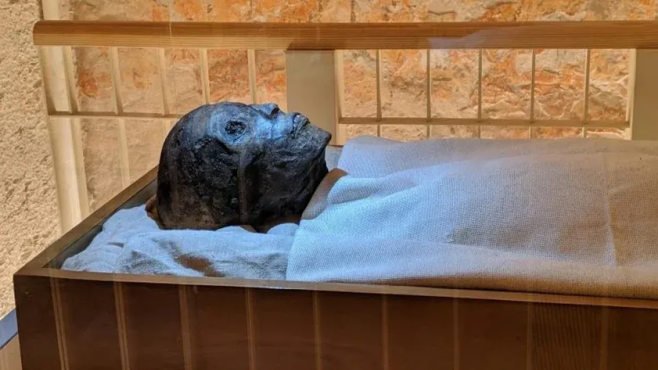 Baisusis Egipto prakeiksmas virto tikrų išganymu: mokslininkai įsitikinę, kad tai gali išgelbėti tūkstančius gyvybių