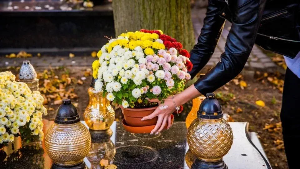 Rudens gėlės, kurios nenuvils kapinėse: šios gėlės atlaikys lietų, šalnas, vėją ir puikiai tinka kapinėse