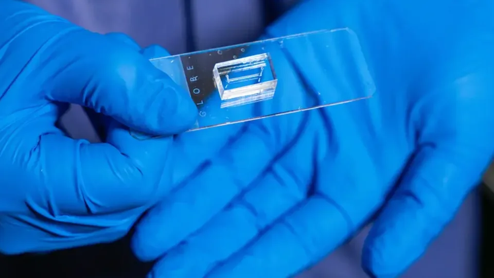 Revoliucija mokslininkų laboratorijose: naujas lustas gali kardinaliai pakeisti šiandienos mediciną