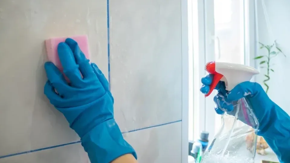 Pamirškite apie brangius chemikalus iš „Maximos“: namuose sukurtas valiklis naikina bet kokį purvą