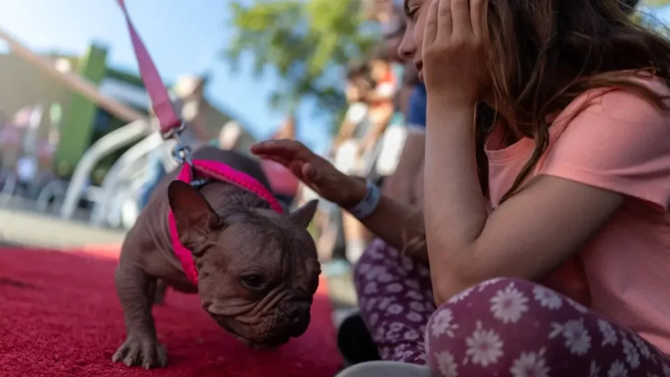 Šis vienas žodis, kurį sakote šuniukui, gali sugadinti jo elgesį visam gyvenimui, ar ir jūs jį vartojate?