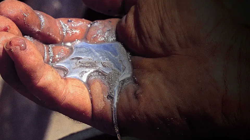 Pavojus, kurio mes nematome: daržovės sugeria gyvsidabrį kaip deguonį ir atsiduria mūsų lėkštėse