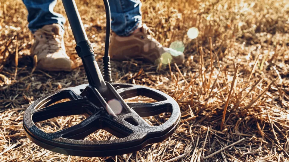 Archeologinis šokas Norvegijoje: po lauku rastas vikingų kapas su mįslingomis kriauklėmis burnoje