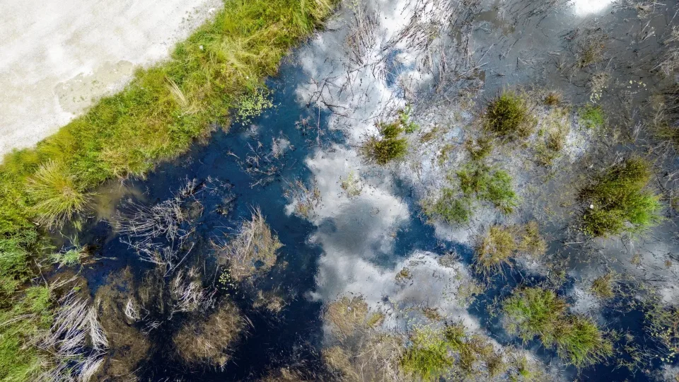 Geniali mintis, kuri išgelbės karo atveju: sprendimas, kaip reikėtų stabdyti Rusijos kariuomenę, praverstų ir Lietuvoje