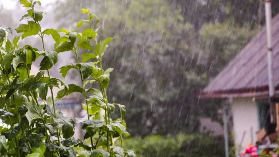 Už lango ir vėl pliaupia lietus? Štai kodėl lietinga diena gali būti geriausia šių metų atostogų akimirka