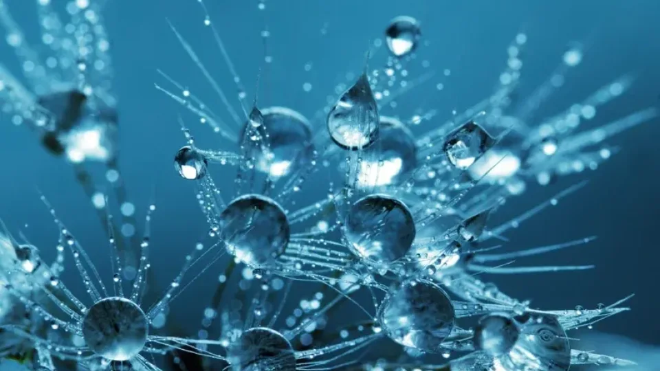 Ne toks jau nekaltas: užfiksuotas itin agresyvus vandens elgesys žmogaus ląstelėse