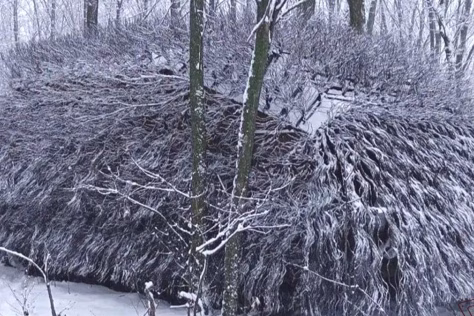 Rusija griebėsi paskutinio šiaudo: apraizgė savo tankus spygliuotais rėmais, nustebinę net ukrainiečiai