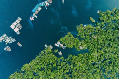 Naujas klimato lūžio taškas: Amazonijos sausros gali tapti norma, formuojasi naujas klimatas