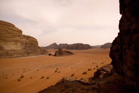 Dykumų uolose aptikti paslaptingi tuneliai: ar tai seniausios gyvybės pėdsakai Žemėje?