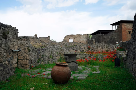 2500 metų senumo radinys Lenkijoje pribloškė archeologus: tokio objekto dar niekas nebuvo matęs